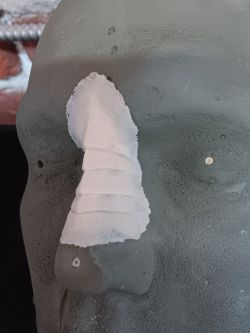 Bajoran Nose Ridge #2
