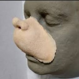 Mayor Augustus Who Foam Latex Nose Prosthetic