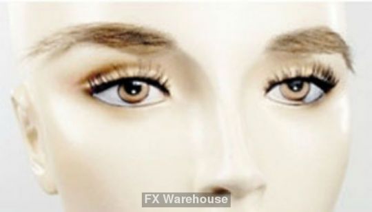ladies eyebrows fxwarehouse com